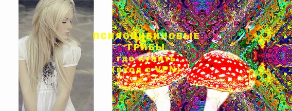 mdpv Верея