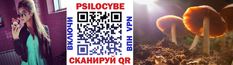 Галлюциногенные грибы Psilocybine cubensis  Купить  Верхняя Салда 